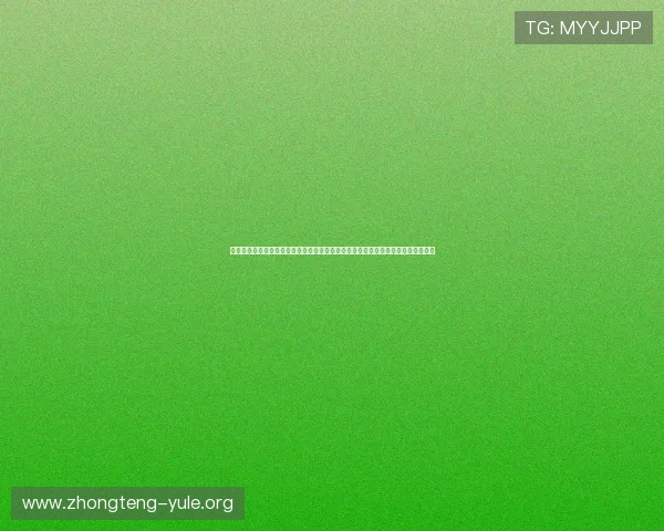 新盛娱乐公司注册开户注意事项为体育网站提供全面世界杯赛事报道与内容优化建议 新盛娱乐公司注册开户注意事项为体育网站提供全面世界杯赛事报道与内容优化建议